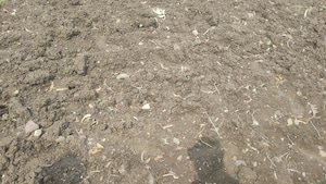Plot Area in  Plot at Godrej Verdania Estate, Mangaliya Sadak – for Sale