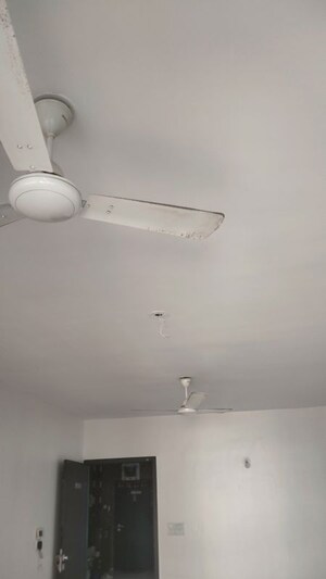 2 BHK Apartment For Rent in Kumar Palmsprings, Undri