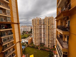 3 BHK Apartment For Rent in Apex Athena, Sector 75