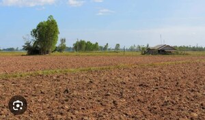  Plot For Sale in Ghatlodia