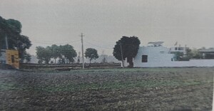 Plot Area in  Land at Sham Nagar – for Sale
