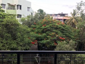 3 BHK Apartment – Exterior View View at Gulmohar Park Aundh, Aundh - for Rent