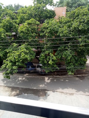 3 BHK Builder Floor – Garden View at Safdarjung Enclave - for Rent