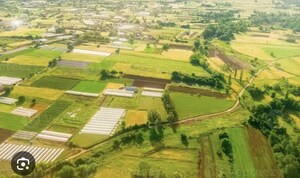  Plot For Sale in Kharar Road