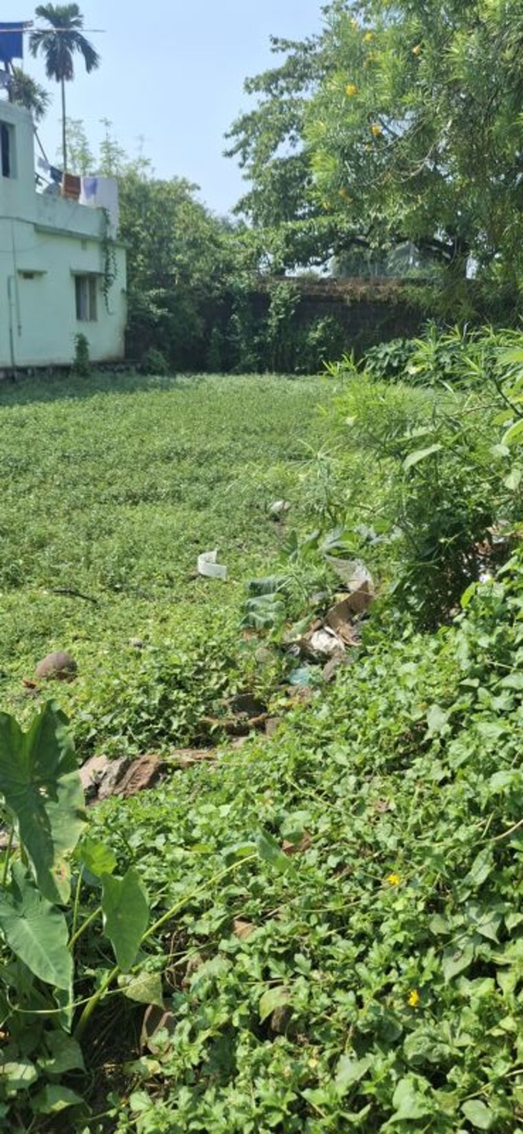 Garden, brahmeswarpatna  5500 Sq.Ft. Plot In Brahmeswarpatna Bhubaneswar 10776731