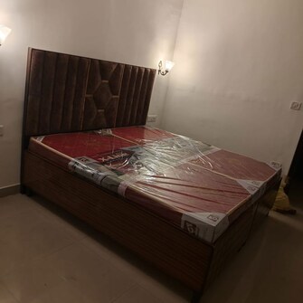3 BHK Apartment For Rent in Maya Garden City in Lohgarh, Zirakpur