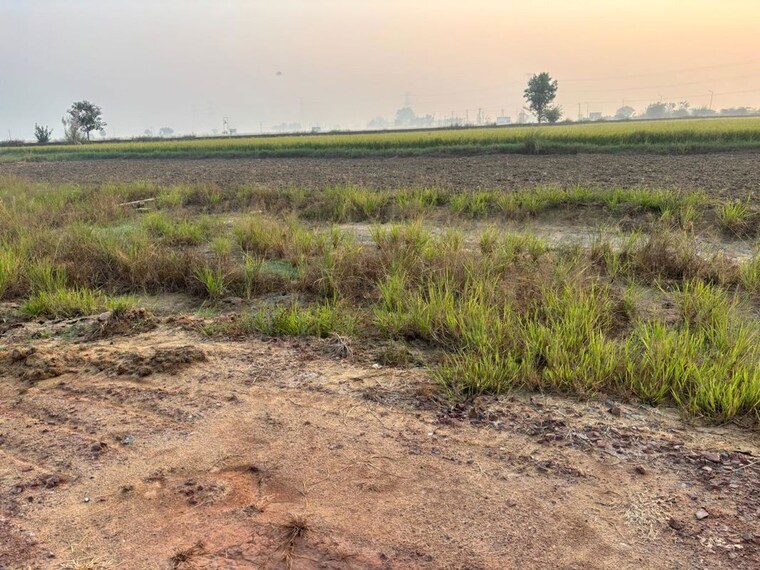 undefined, dhankot  100 Sq.Yd. Plot In Dhankot Gurgaon 10776804