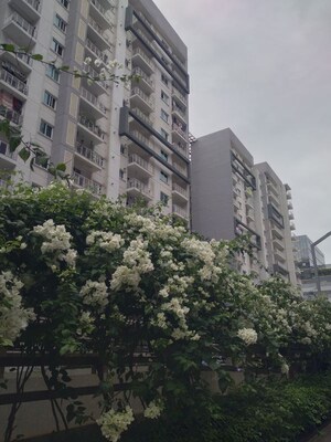 4 BHK Apartment For Sale in LnT Raintree Boulevard, Hebbal