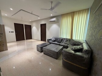 3 BHK +Apartment For Rent in Maya Green Lotus Utsav in International Airport Road, Zirakpur