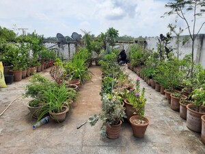 Plot Area in 3 BHK Builder Floor at Motia Blue Ridge, Dhakoli – for Sale