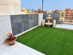 Terrace in 1 BHK Builder Floor at Chattarpur – for Rent