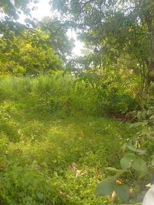  Plot For Sale in Chembukkav