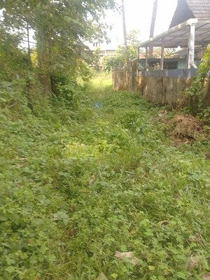 Plot Area in  Plot at Chembukkav – for Sale
