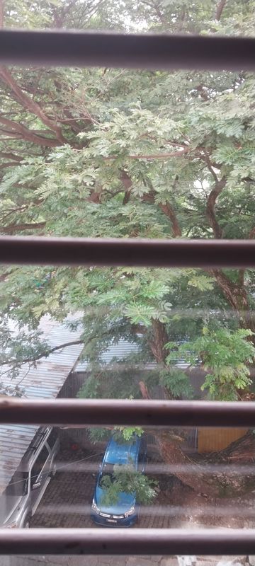3 BHK Apartment – Garden View at Basavanagudi - for Rent