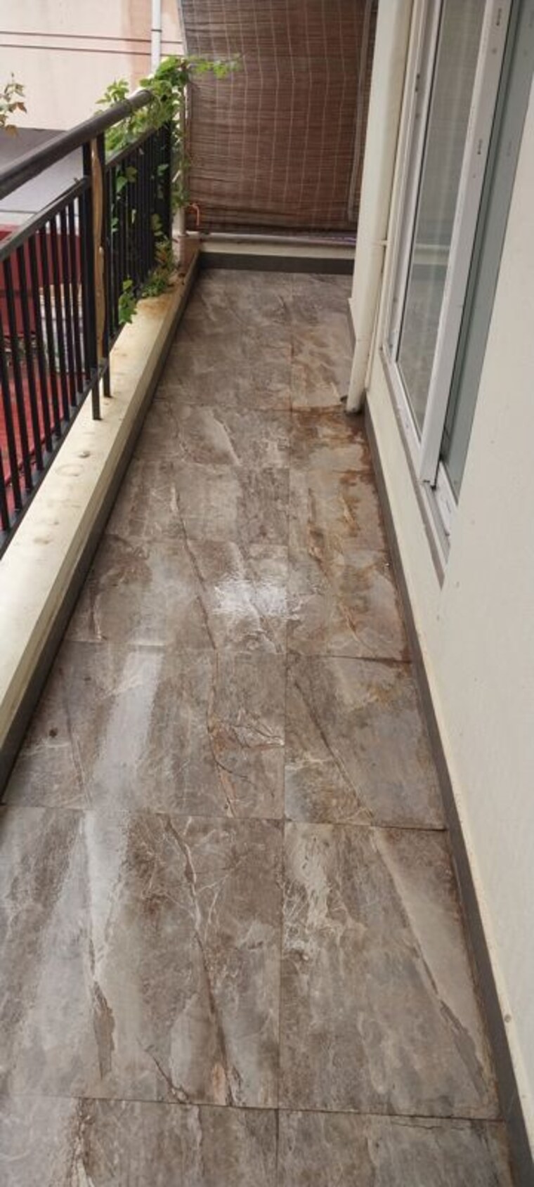 Balcony, basavanagudi 2 Bedroom 1000 Sq.Ft. Apartment In Basavanagudi Bangalore 10778185