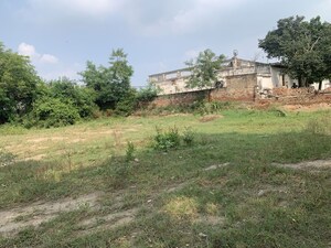 Plot Area in  Warehouse at Royal Prem Vihar, Sector 163 – for Rent