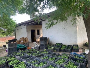  Warehouse – Exterior View View at Royal Prem Vihar, Sector 163 - for Rent