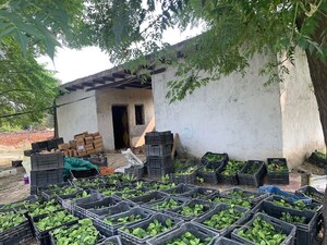  Warehouse – Exterior View View at Royal Prem Vihar, Sector 163 - for Rent