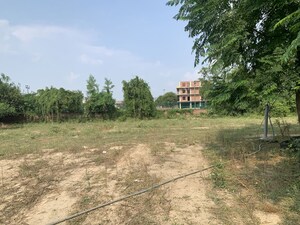 Plot Area in  Warehouse at Royal Prem Vihar, Sector 163 – for Rent