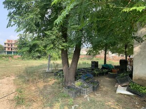 Plot Area in  Warehouse at Royal Prem Vihar, Sector 163 – for Rent