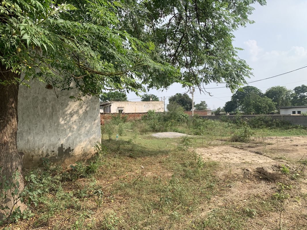 Plot Area in  Warehouse at Royal Prem Vihar, Sector 163 – for Rent