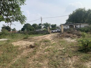 Plot Area in  Warehouse at Royal Prem Vihar, Sector 163 – for Rent