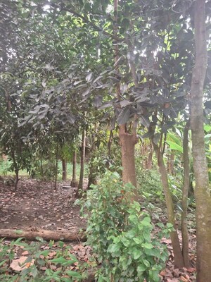  Plot – Garden View at Nabapally - for Sale