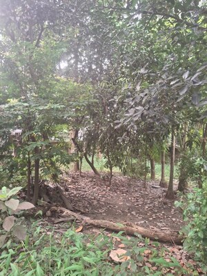 Plot Area in  Plot at Nabapally – for Sale