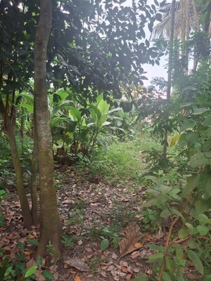  Plot – Garden View at Nabapally - for Sale
