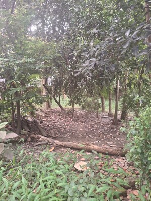 Plot Area in  Plot at Nabapally – for Sale