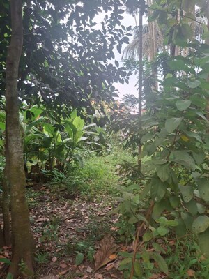  Plot – Garden View at Nabapally - for Sale