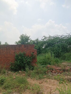 Plot Area in  Land at Sadarpur – for Sale