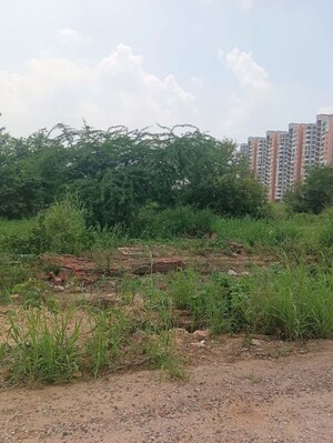 Plot Area in  Land at Sadarpur – for Sale