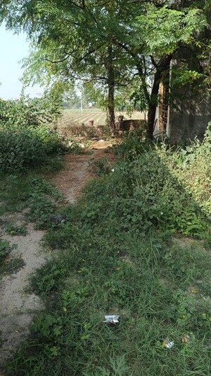  Independent House – Garden View at Guru Arjan Dev Nagar - for Sale