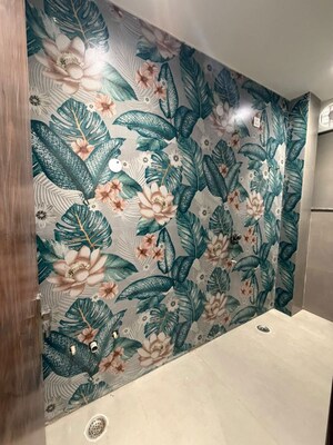 2 BHK Builder Floor For Rent in Pitampura