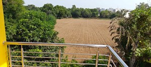 Plot Area in 2 BHK Builder Floor at Sector 23 – for Rent