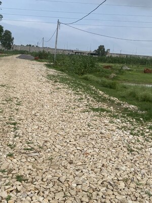 Plot Area in  Plot at Sector 7 – for Sale