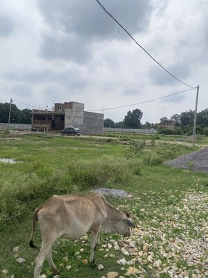 Plot Area in  Plot at Hasanpur – for Sale