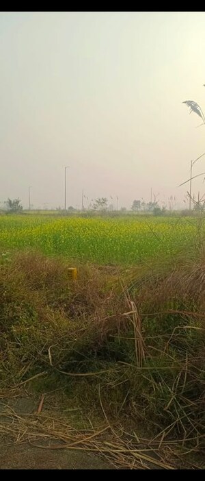  Plot For Sale in Sector 20 Yamuna Expressway