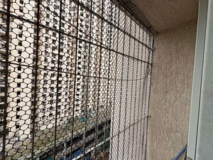 1 BHK Apartment – Exterior View View at Puranik Rumah Bali, Ghodbunder Road - for Rent