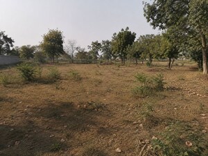  Plot For Sale in Sate