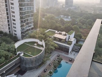 4 BHK +Apartment For Sale in Ireo The Grand Arch in Sector 58, Gurgaon