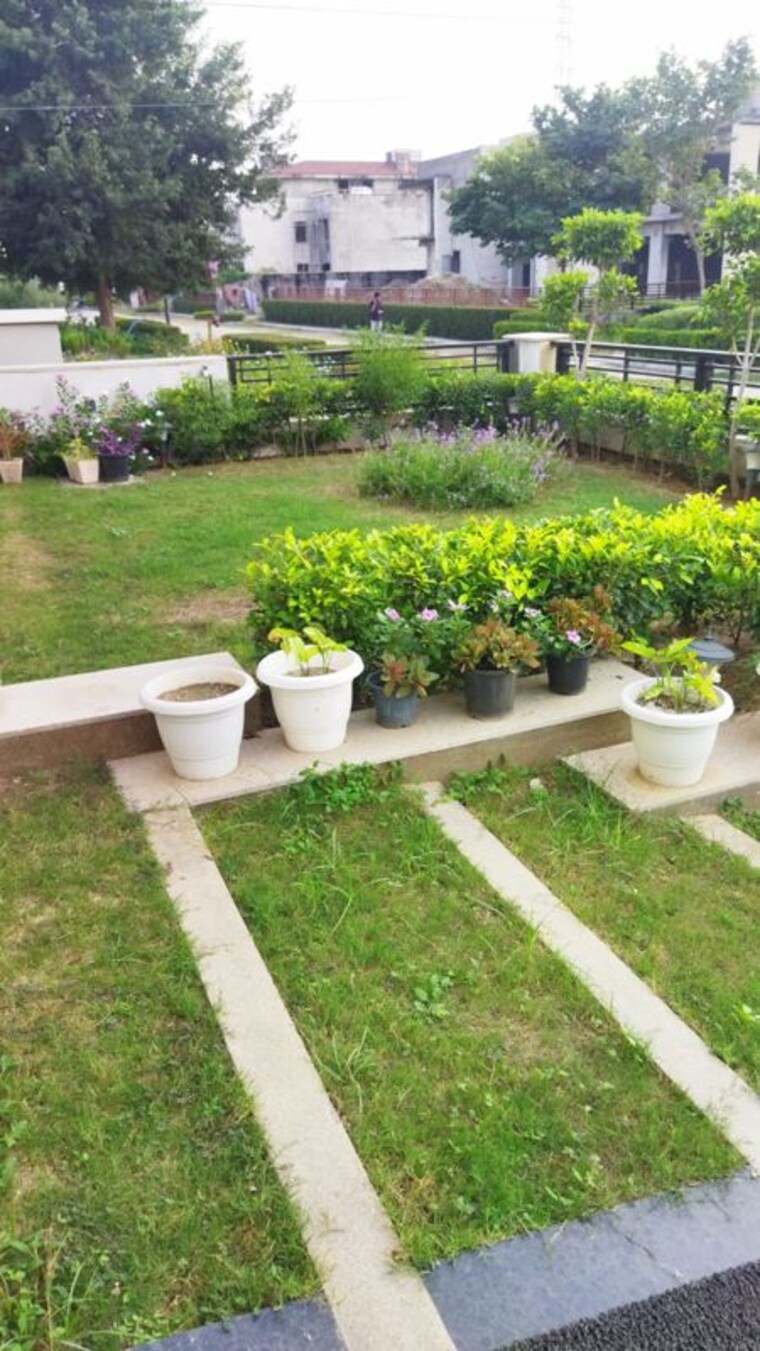 Garden, unitech-the-villas 5 Bedroom 10869 Sq.Ft. Villa In Sector 33 Gurgaon 10780308