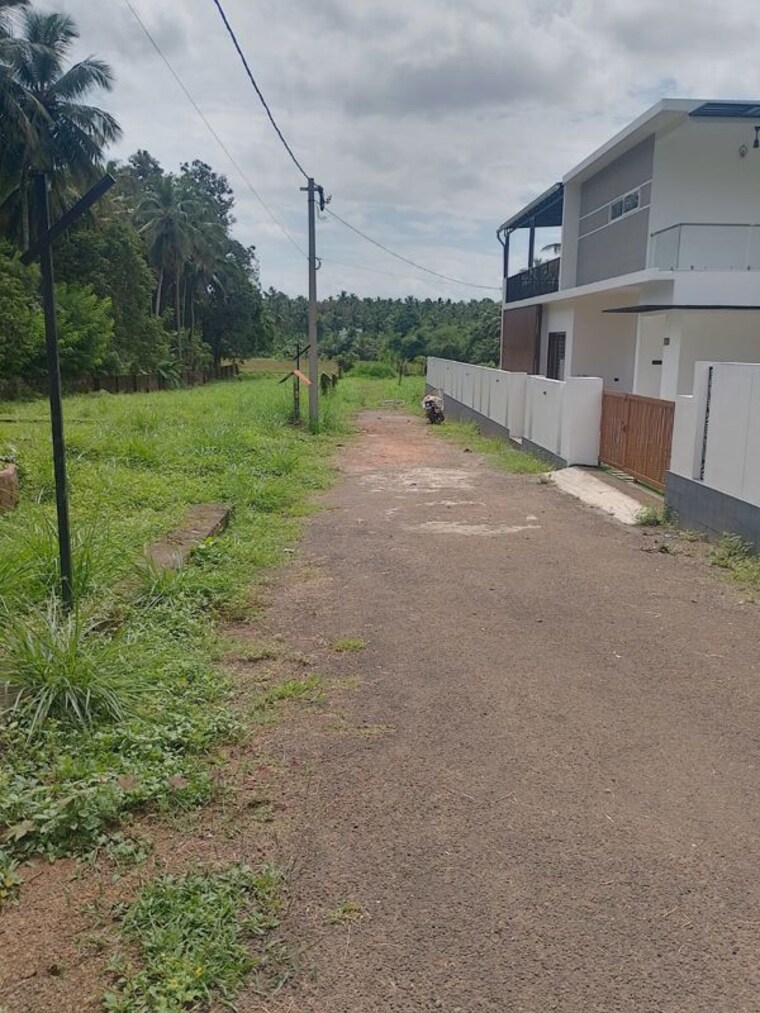 undefined, kaiparambu  2178 Sq.Ft. Plot In Kaiparambu Thrissur 10780407