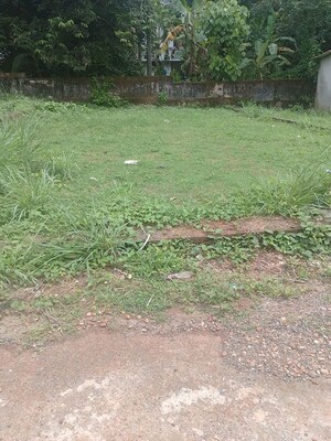  Plot For Sale in Kaiparambu