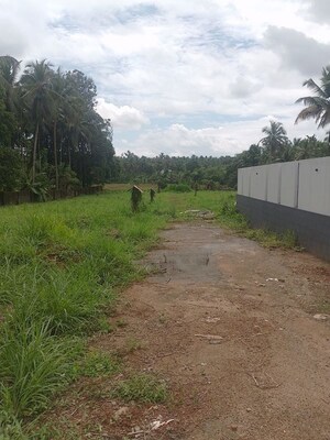 Plot Area in  Plot at Kaiparambu – for Sale