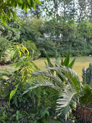  Plot For Sale in Chattarpur