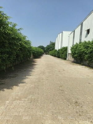 Plot Area in 4 BHK Villa at Chattarpur – for Rent