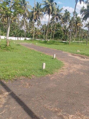  Plot For Sale in Vellanikkara