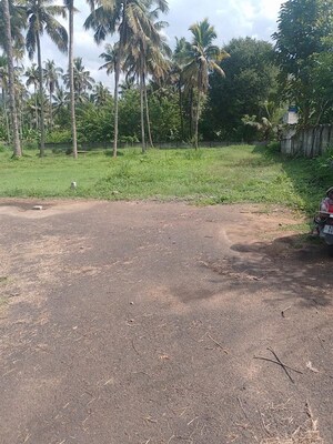 Plot Area in  Plot at Vellanikkara – for Sale